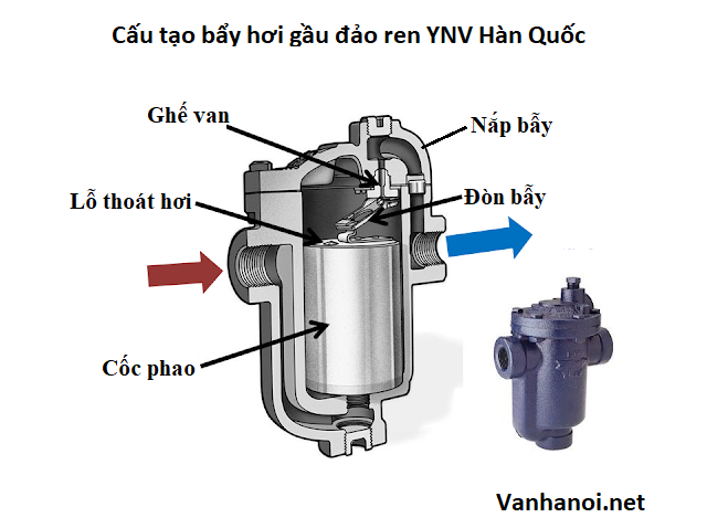 Cấu tạo bẫy hơi gầu đảo ren YNV Hàn Quốc