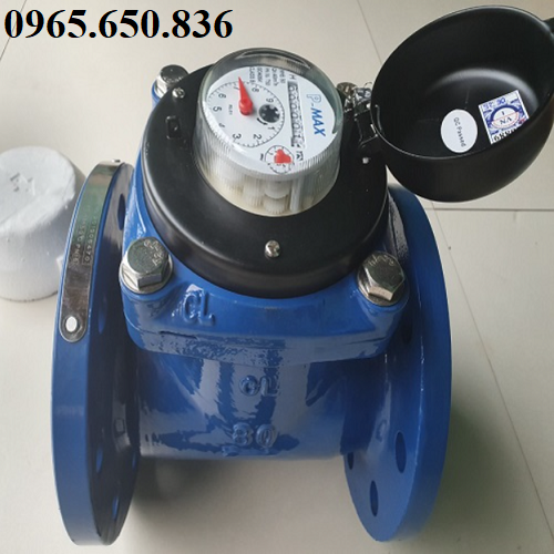 Đồng hồ nước n&oacute;ng Pmax