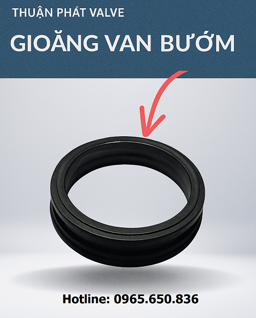 Gioăng của van bướm