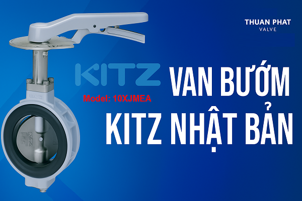 Van bướm Kitz - Korea