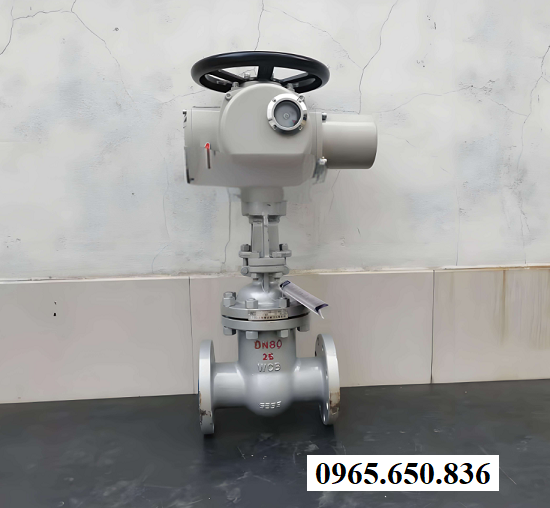 Van cổng điều khiển điện Z941H-16C