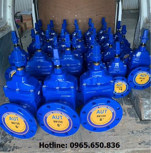 Van cổng ty chìm nắp chụp