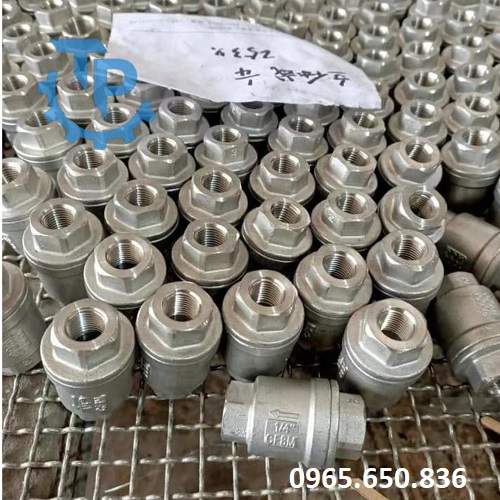 Van 1 chiều hơi lò xo inox
