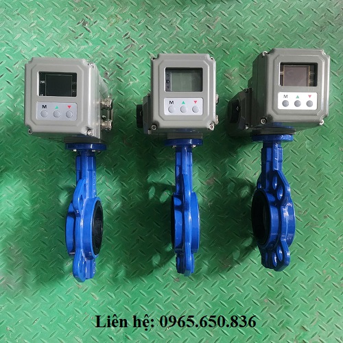 Van bướm gang điều tuyến tính