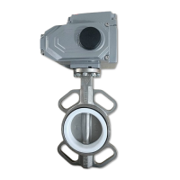 Van bướm điều khiển motor điện