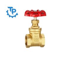 Van cổng Z15W-16T