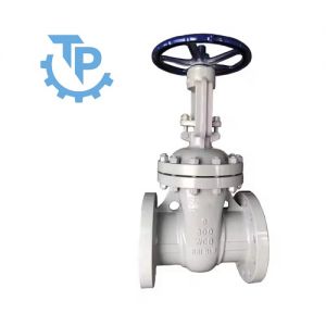 Van cổng Z41H-25C
