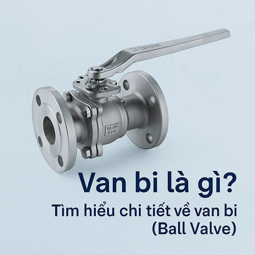 Van bi là gì?