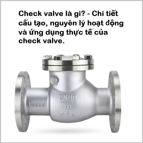 Check valve là gì?